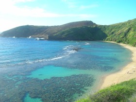 From Hawaii Pt. 4