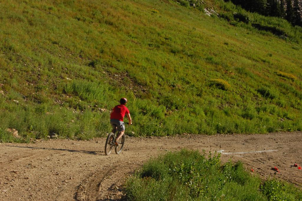 Cruising Down a Run