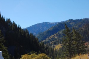 Scenery