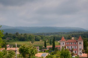 DSC_0094