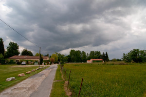 DSC_0126