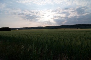 DSC_0189