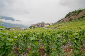 Rain, Alps, and Bicycles