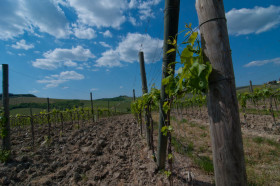 Heart of Tuscany