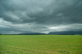 Blustery Day
