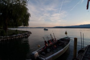 DSC_1102