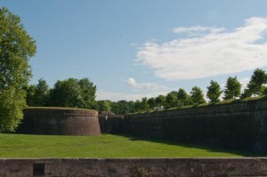 Wall