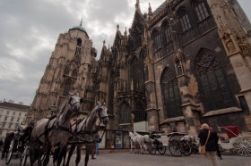 A Brief View of Vienna