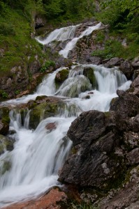 DSC_0198