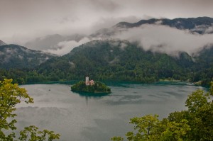 DSC_0319