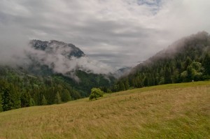 DSC_0356-2