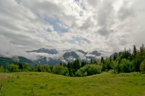 DSC_0430