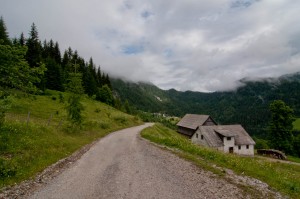 DSC_0435