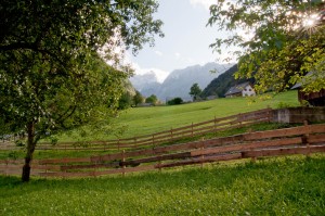DSC_0528-2