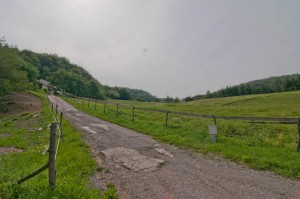 DSC_0567