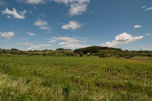 DSC_0584-2