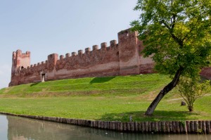 Castelfranco Wall 2