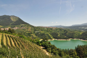 Back in Italy