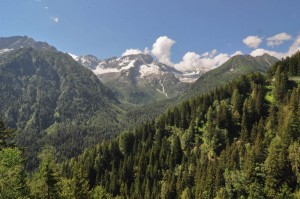 DSC_0117-2