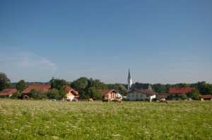 DSC_0421