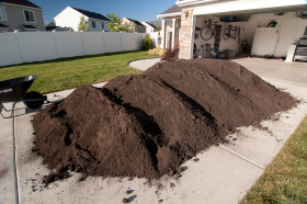 Too Much Dirt