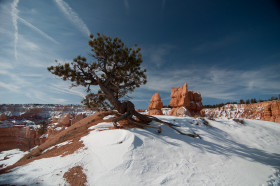 Winter Festival 2012