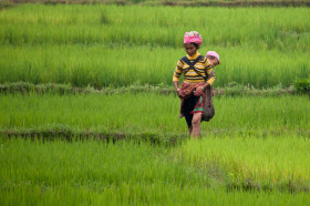 Hill Tribes
