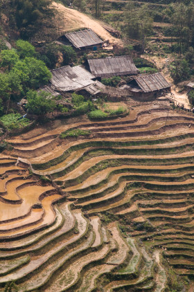 Sapa
