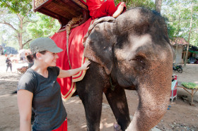The Elephant