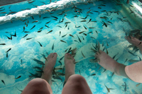 Fish Food Hot Tub