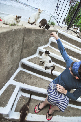 Crazy Cat Lady