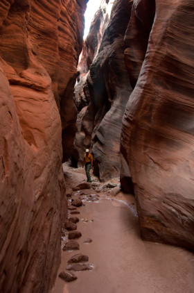 Back to Buckskin Gulch